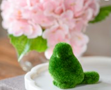 Green Moss Sitting Bird