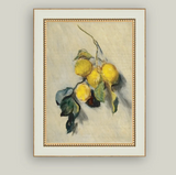 Branch Of A Lemon Tree - 4x6
