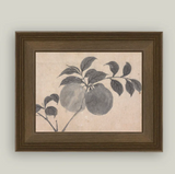 Branch Of Fruit Bearing Tree - 10x8