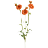 Gerbera Daisy Spray Orange
