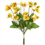 Pansy Bundle X6 Yellow