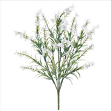 15.5waxflower Bush X7 Cr