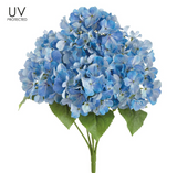 UV Protect Hydrangea Bush