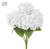 UV Protect Hydrangea Bush