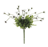 10.5daisy Bush X5 Wh