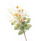 Apricot Little Daisy Pick