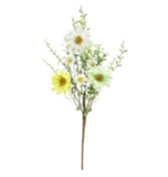 Yellow Daisy Pick