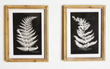15.75 2 Asst. Fern Wall Decor