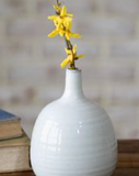 6.9 Med. Neck White Vase
