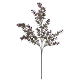 27eucalyptus Spray X3 Gy/pu