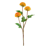28.5dahlia Spray Or
