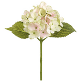 16rt Hydrangea Spray Bs/gr