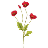 23.6poppy Spray Re