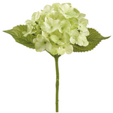 16rt Hydrangea Spray Gr