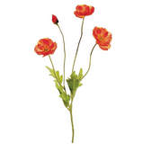 23.6poppy Spray Fl