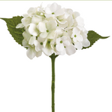 16rt Hydrangea Spray Wh