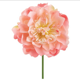 9.5real Touch Peony Pick Pe