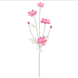 24.5 Cosmos Spray Bb