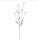 24.5 Cosmos Spray Wh