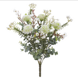 14mini Dahlia/waxflower Bush