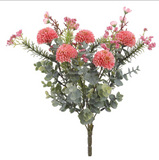 14mini Dahlia/waxflower Bush
