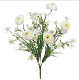 14ranunculus Bush X6 Cr