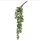 13soft String Of Pearls Spray