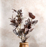 30 Brn. Pyrostegia Leaf Branch