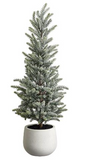 22glit Pine Tree In T/c Pot