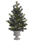 19spruce Pine Tree In Urn