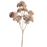 18glittered Sedum Spray Cn