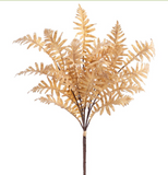 20.5fern Bundle X3 Be