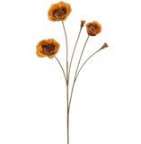 26 Poppy Spray Am