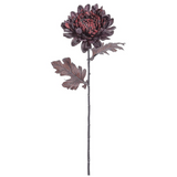 26chrysanthemum Spray Bk/pl
