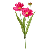 16.5cosmos Spray Fu