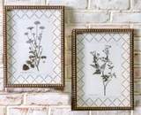 2 Asst Gold Framed Plant Prints