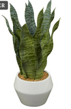 Artificial Plant W/ Cer Pot 9w, 15h