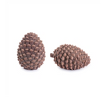 Pine Cone  3.5h, 5.5h Cement