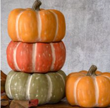 13" Pumpkin 2 Org. 1 Grn. 1 Dk Org.