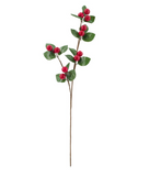 Berry Spray
