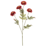 23.5" Daisy Spray Fl