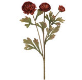 19.5" Ranunculus Spray Bc