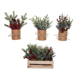 Mini Christmas Trees