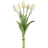 16rt Dutch Tulip Bouquet