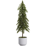 23"pine Tree In Plastic Pot