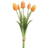 16rt Dutch Tulip Bouquet