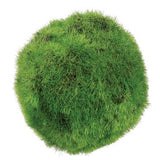 Moss Ball Green