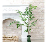 47 Nandina Leaf Stem