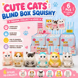 Cute Cats Blind Box Squishy