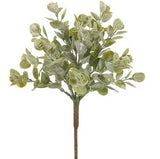 Ihi Plant Spray Green Gray